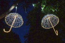 &quot;Šviečiantys nakties sargybiniai&quot; Vida Jankaitienė